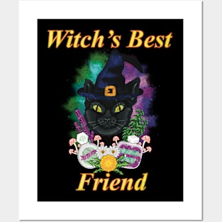 Witch’s Best Friend! Posters and Art